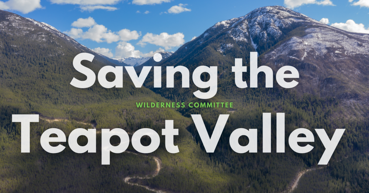 Video Saving the Teapot Valley Wilderness Committee
